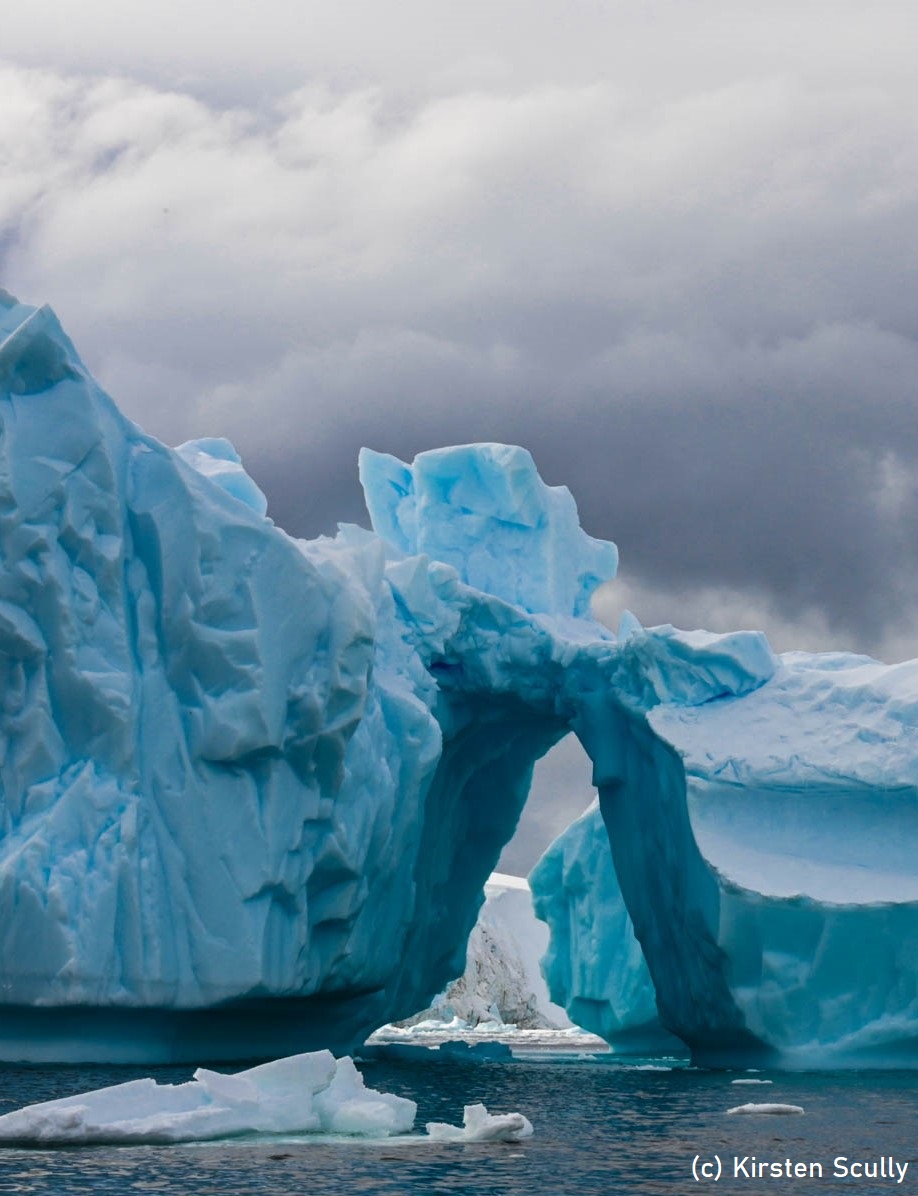 Iceberg a l'Antàrctida, 2018 (c) Kirsten Scully