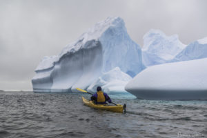 Kayaking in Antarctica (c) Florian Ledoux (2018)